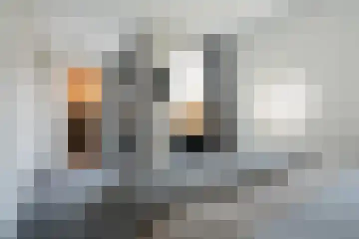 Trijegea 71 Scharsterbrug thumbnail 48