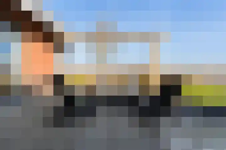 Trijegea 71 Scharsterbrug thumbnail 54