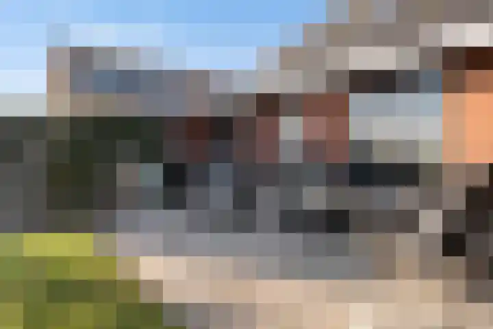 Trijegea 71 Scharsterbrug thumbnail 57