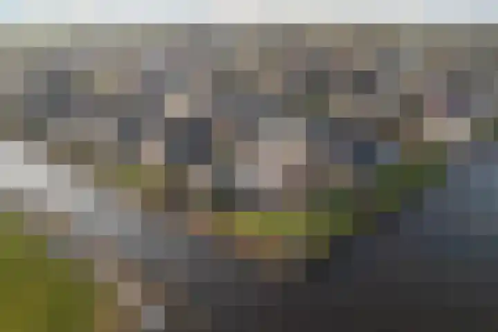 Trijegea 71 Scharsterbrug thumbnail 6