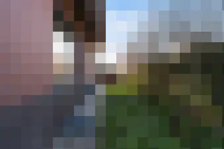 Trijegea 71 Scharsterbrug thumbnail 66