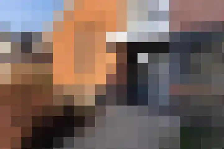 Trijegea 71 Scharsterbrug thumbnail 72