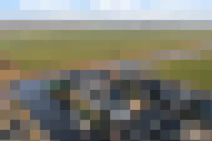 Trijegea 71 Scharsterbrug thumbnail 77