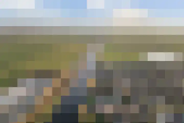 Trijegea 71 Scharsterbrug thumbnail 78
