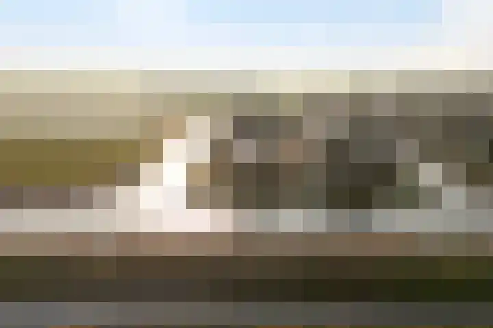 Trijegea 71 Scharsterbrug thumbnail 79