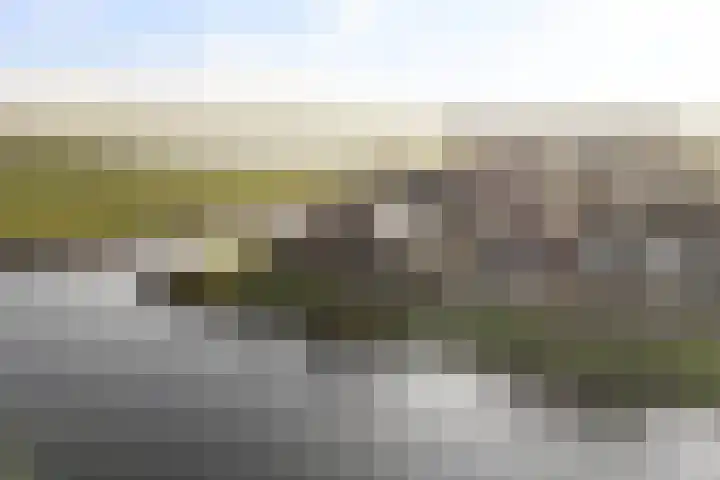 Trijegea 71 Scharsterbrug thumbnail 80