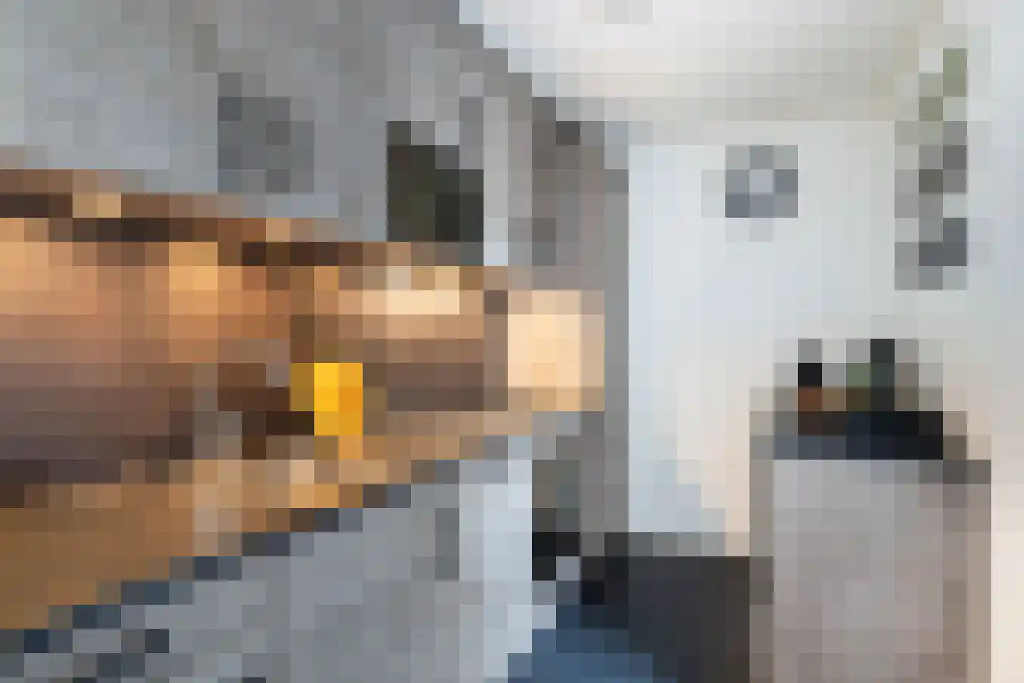 Trijetunen 19 Marrum thumbnail 19