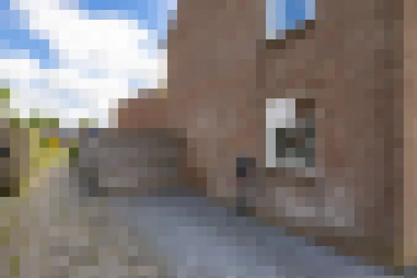 Trijetunen 19 Marrum thumbnail 40