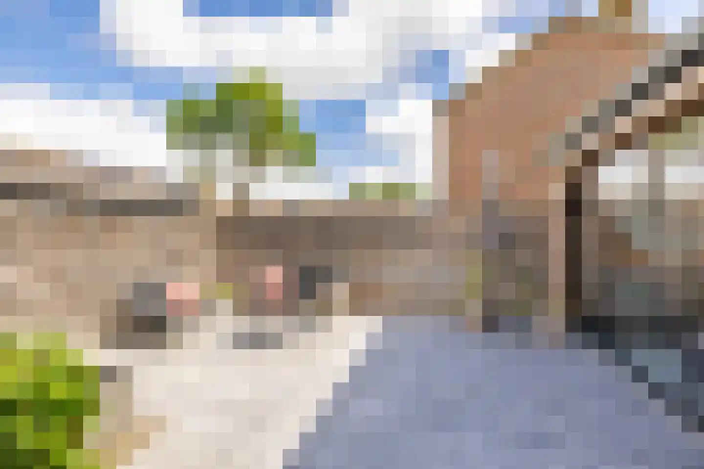 Trijetunen 19 Marrum thumbnail 43