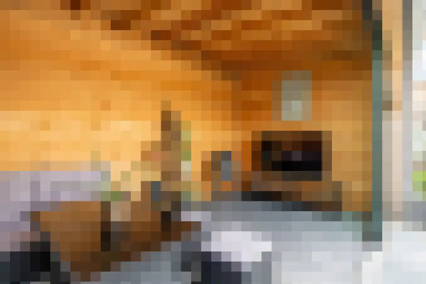 Trijetunen 19 Marrum thumbnail 46