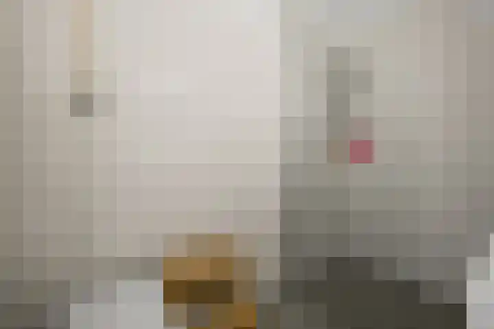 Trijn Hullemanlaan 102 Amsterdam thumbnail 17