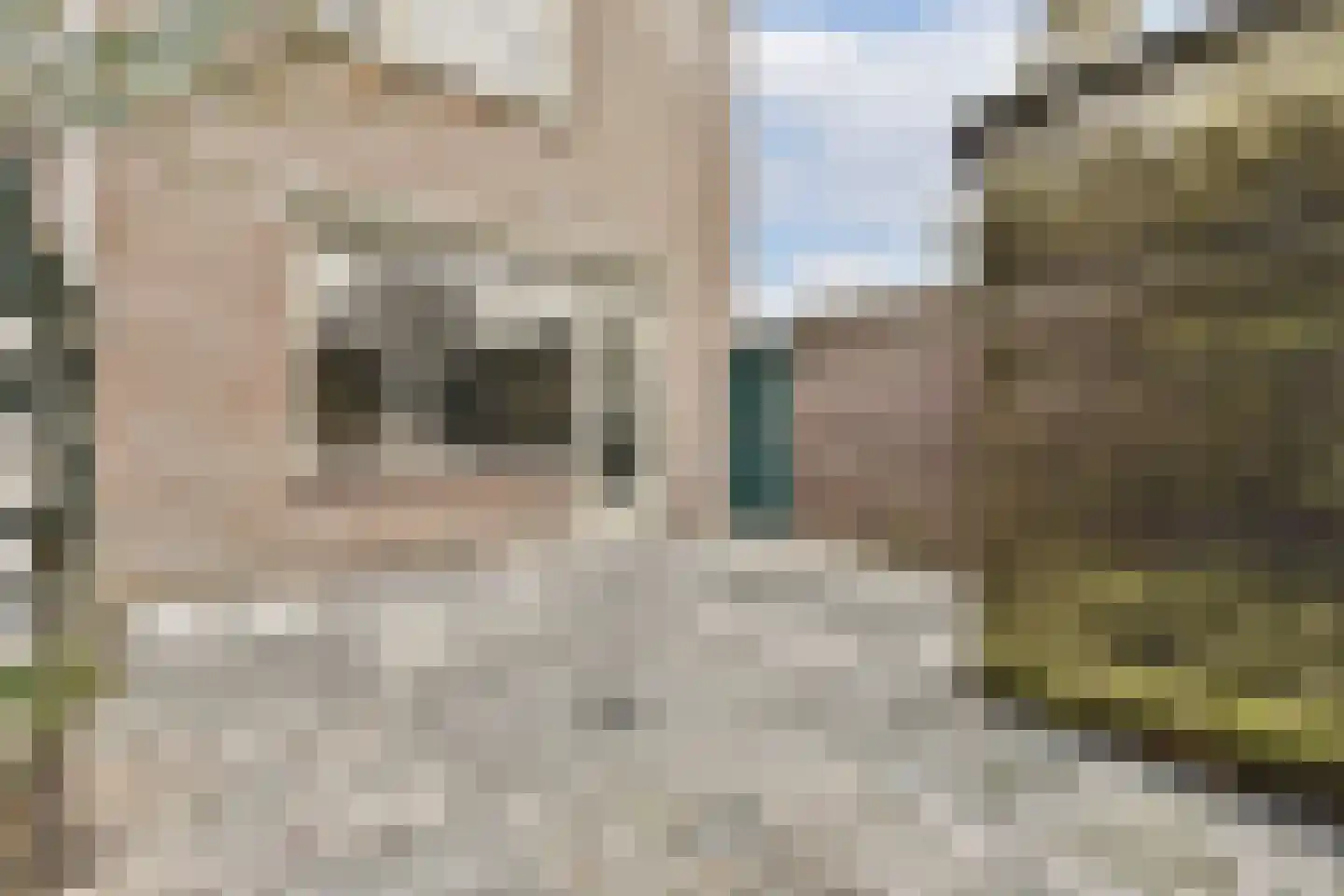 Trijn Hullemanlaan 124 Amsterdam thumbnail 10