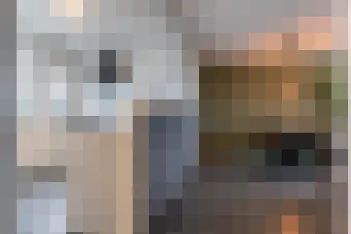 Trijntje Kemp-Haanstraat 17 Beverwijk thumbnail 13