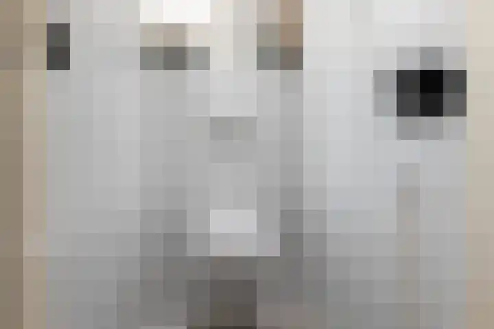 Trijntje Kemp-Haanstraat 17 Beverwijk thumbnail 18