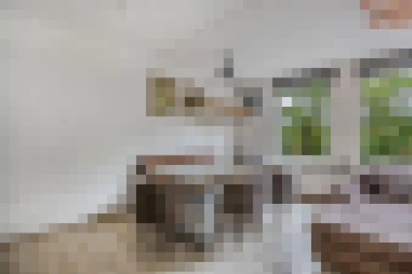 Trijntje Kemp-Haanstraat 64 Beverwijk thumbnail 15