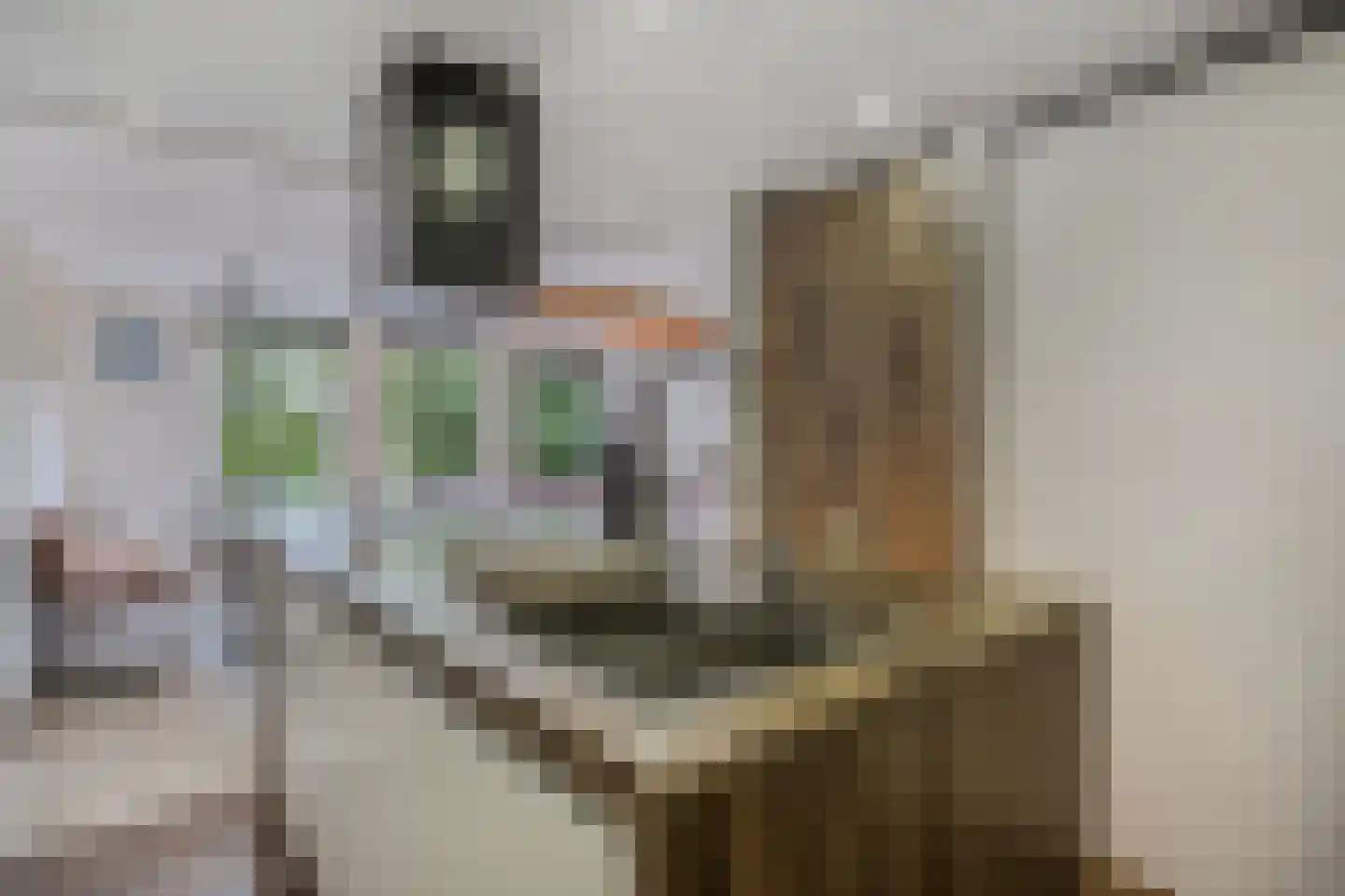 Trijntje Kemp-Haanstraat 64 Beverwijk thumbnail 19