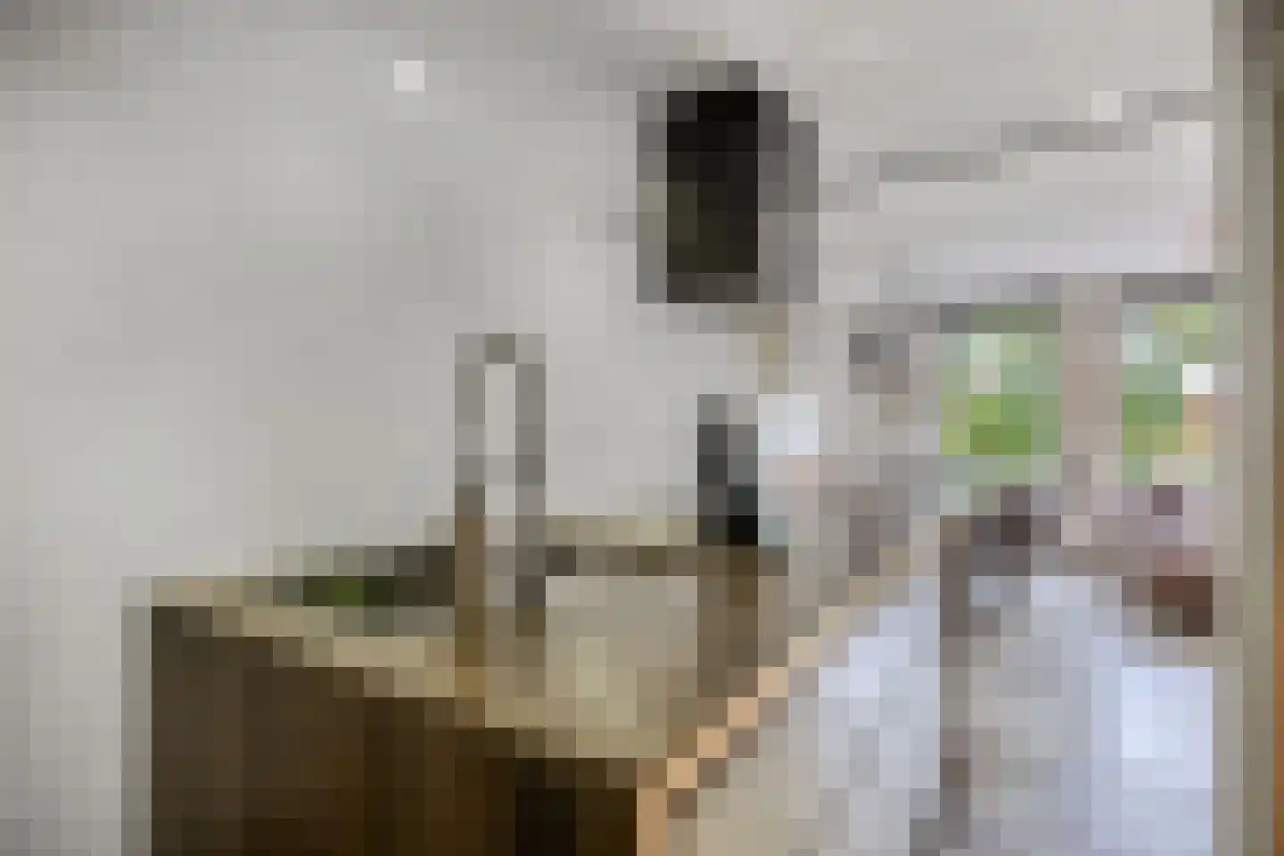 Trijntje Kemp-Haanstraat 64 Beverwijk thumbnail 4