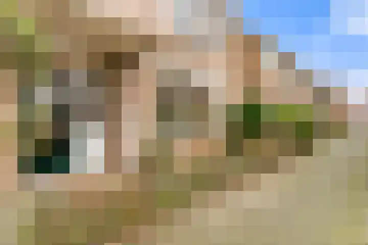 Trijntje Kemp-Haanstraat 94 Beverwijk thumbnail 42