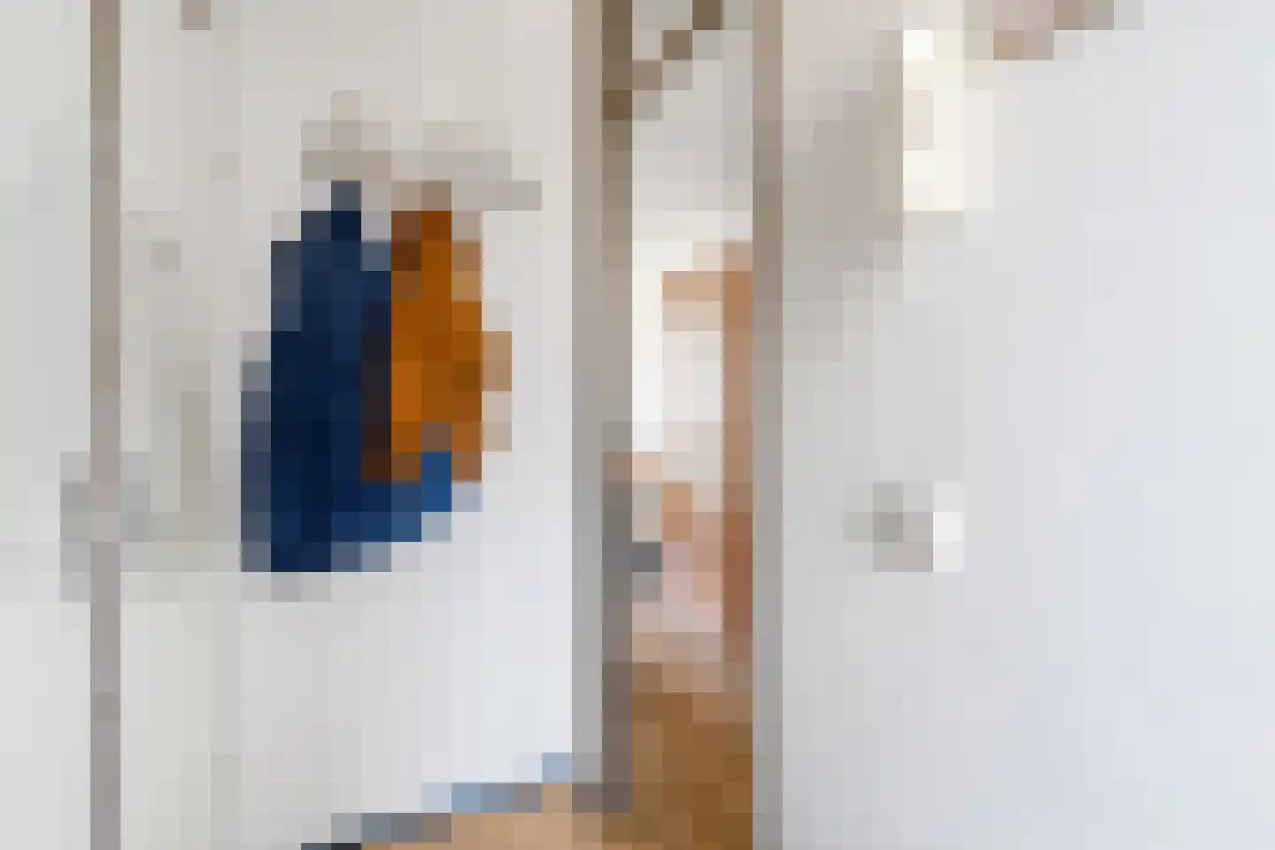 Trijpstraat 15 Hengelo thumbnail 9