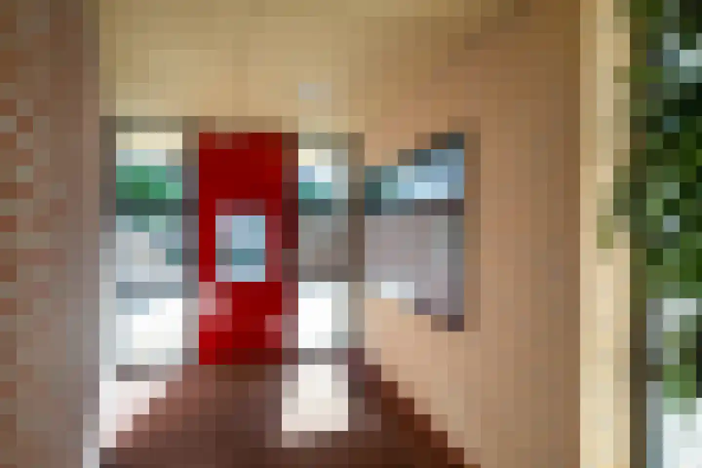 Trijpstraat 21 Hengelo thumbnail 11