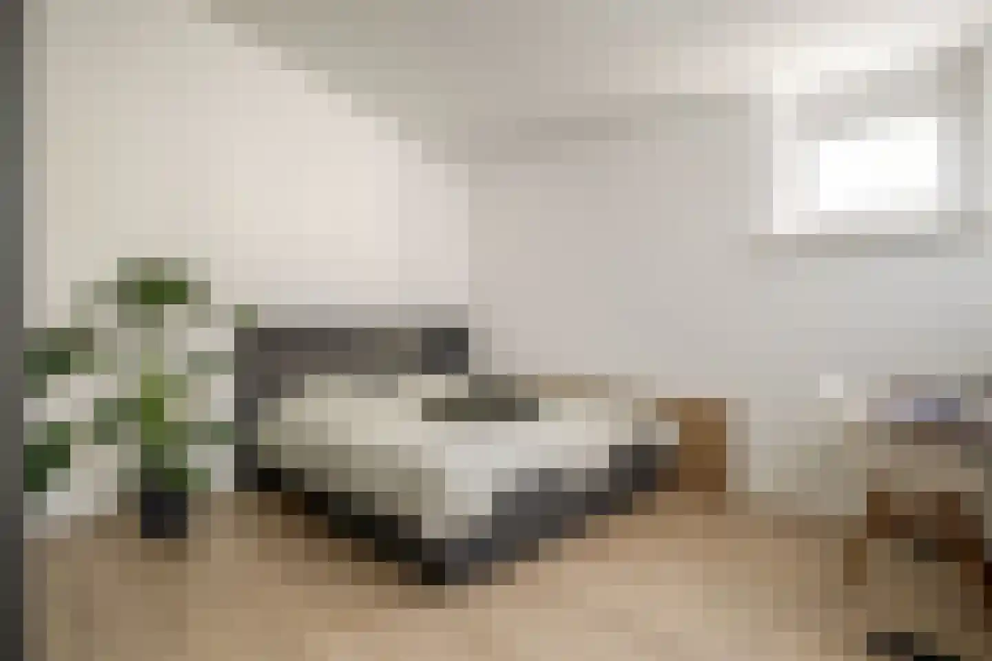 Trijpstraat 21 Hengelo thumbnail 19