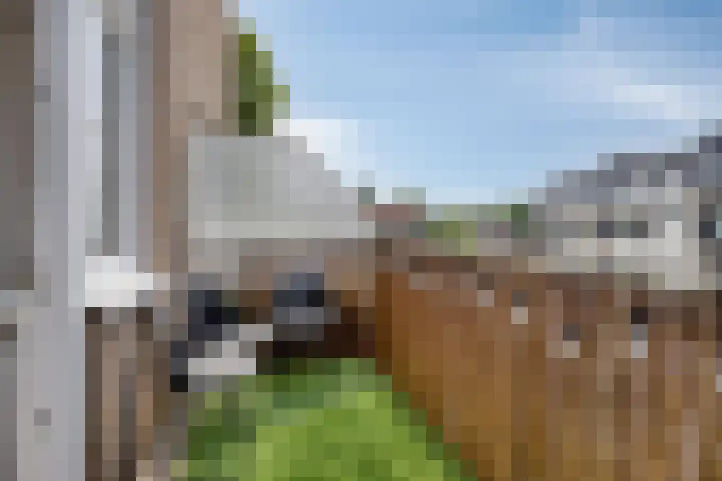 Trijpstraat 25 Hengelo thumbnail 20