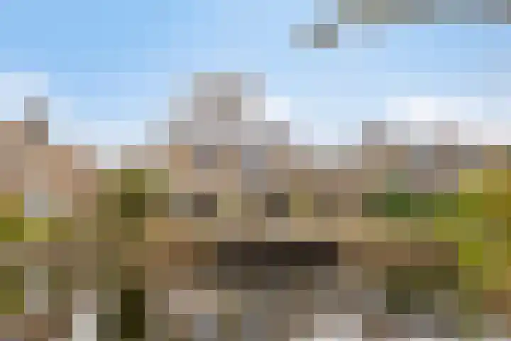 Trilgras 12 in Gouda