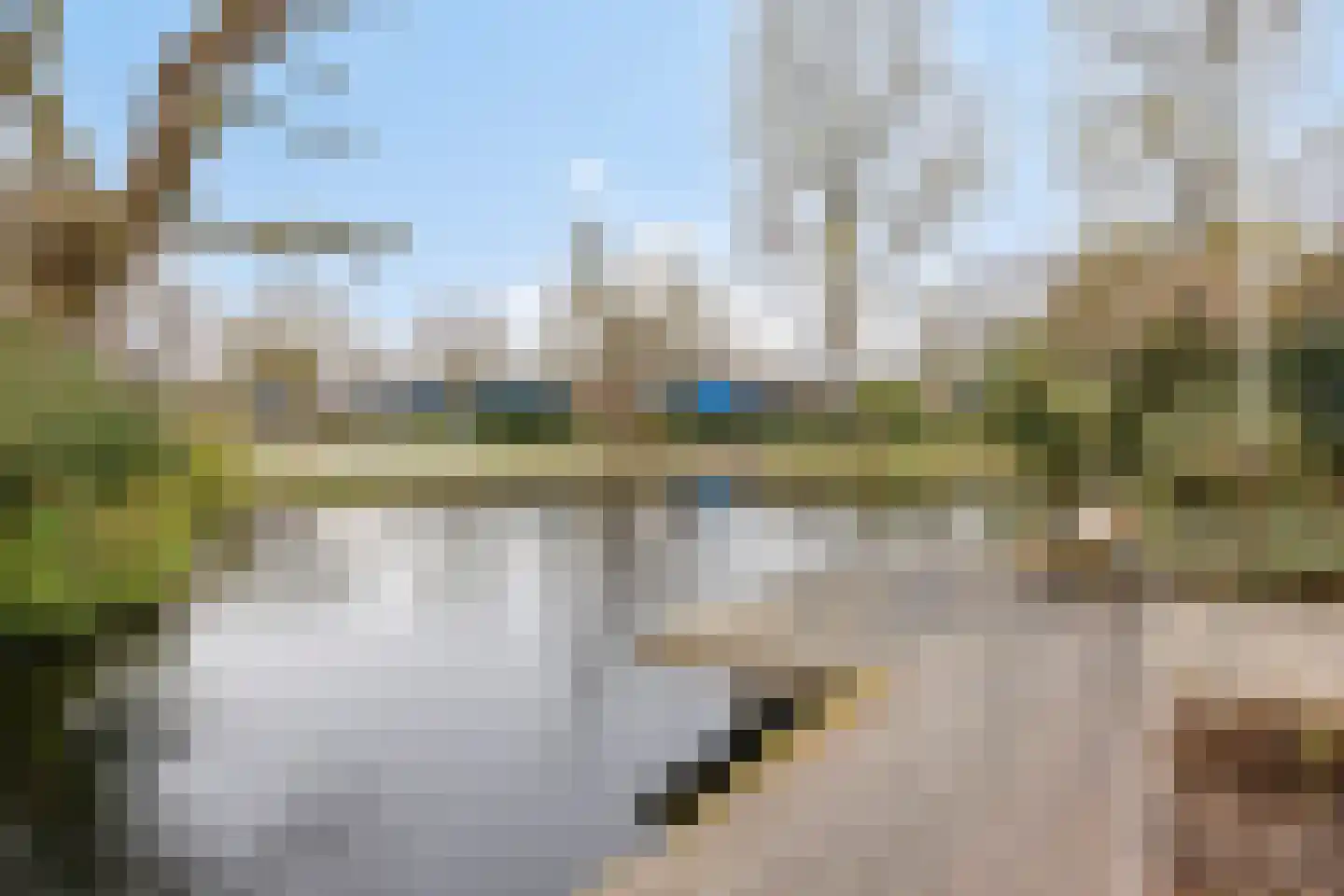 Trilgras 12 Gouda thumbnail 55