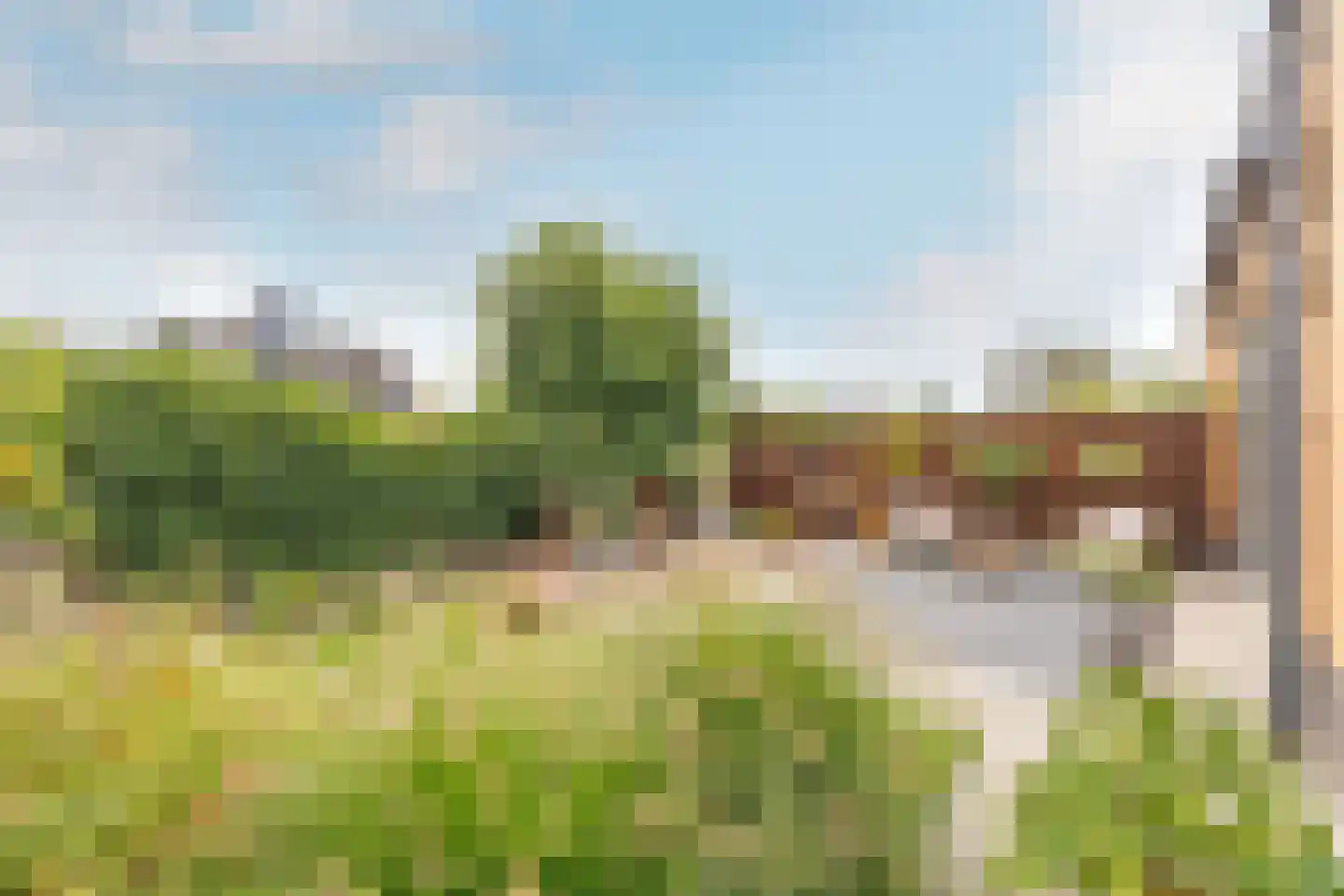 Trilgras 18 De Goorn thumbnail 39