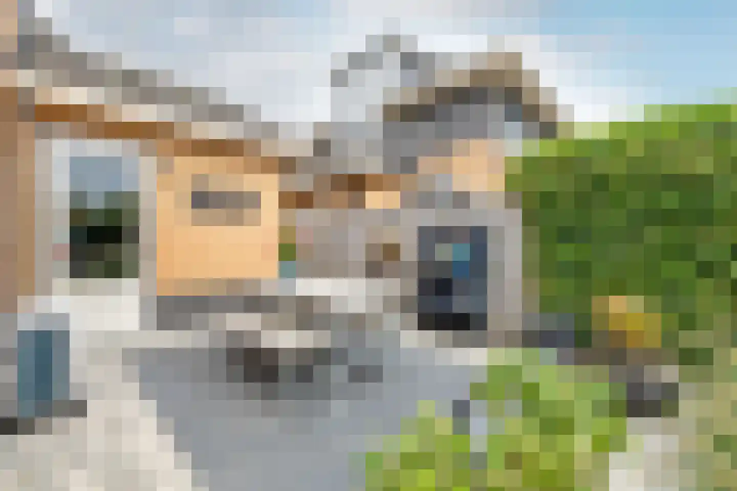 Trilgras 18 De Goorn thumbnail 41