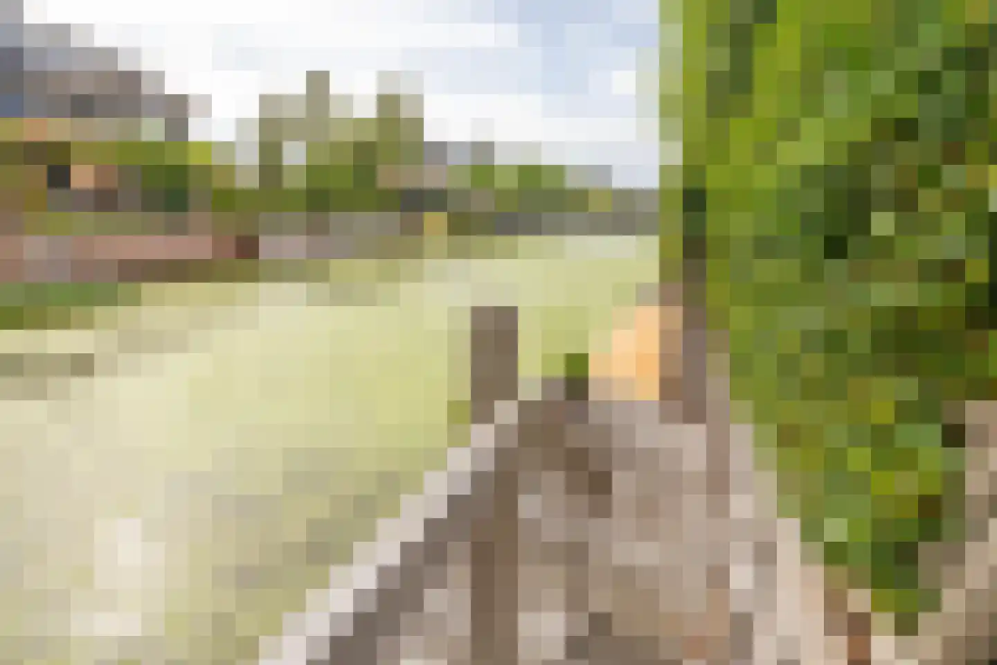 Trilgras 18 De Goorn thumbnail 46