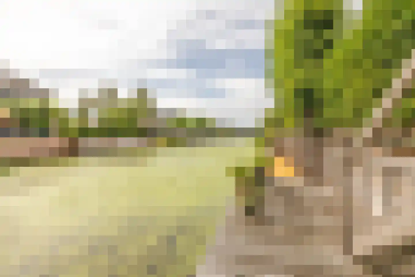Trilgras 18 De Goorn thumbnail 47