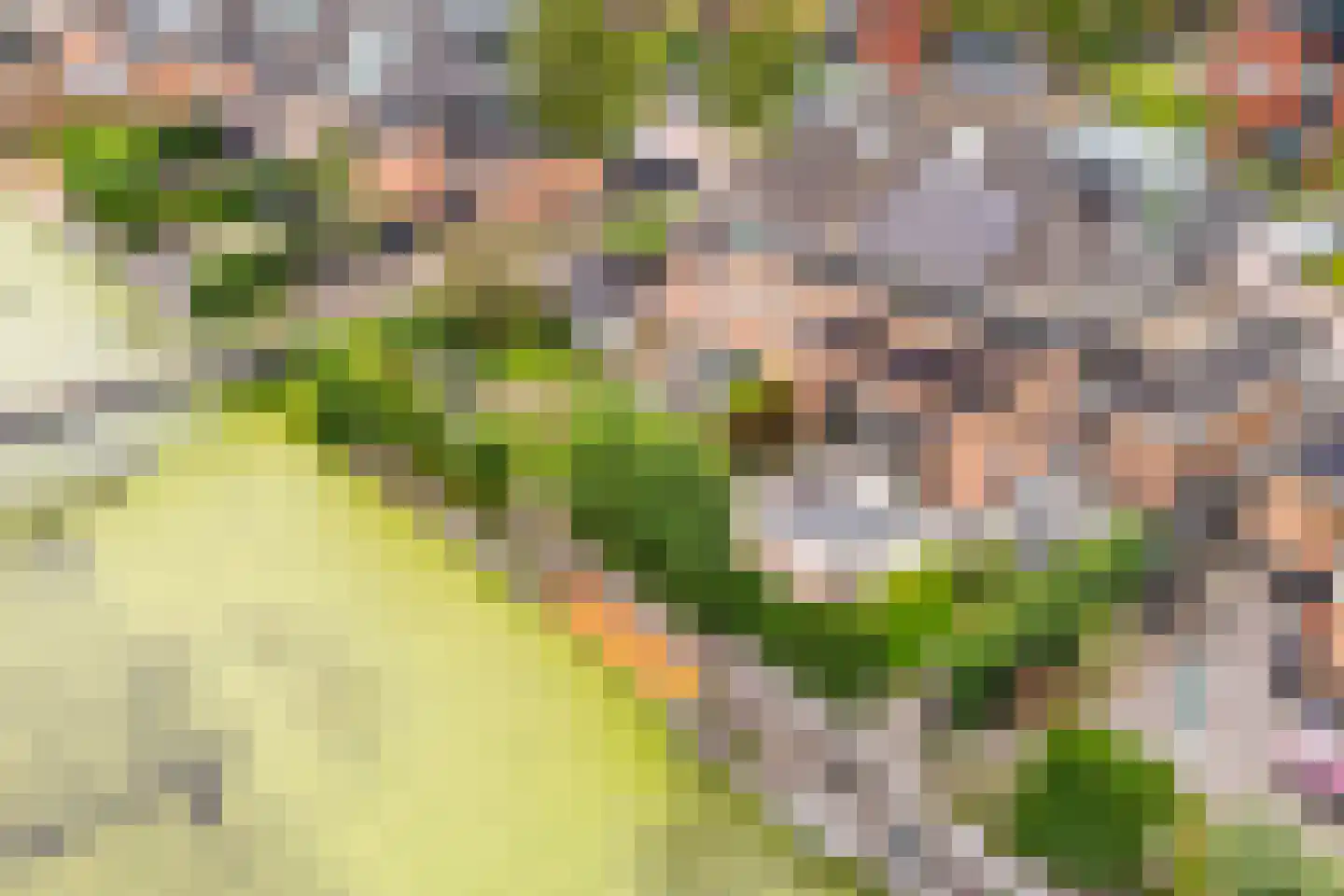 Trilgras 18 De Goorn thumbnail 5