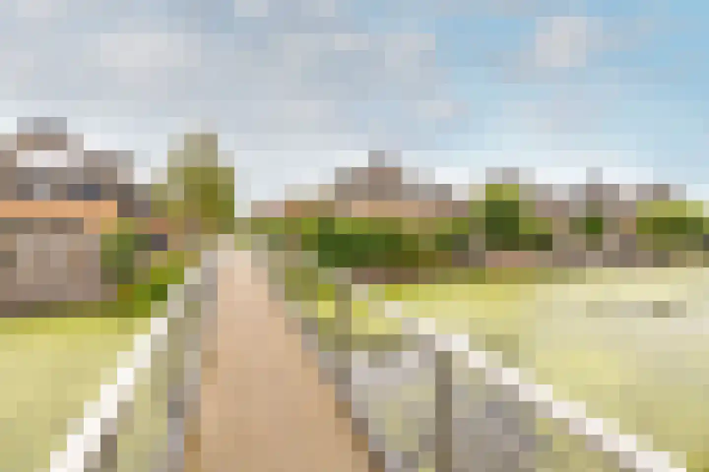 Trilgras 18 De Goorn thumbnail 50