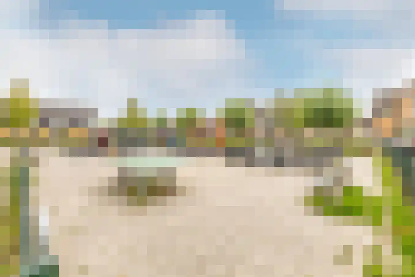 Trilgras 18 De Goorn thumbnail 51