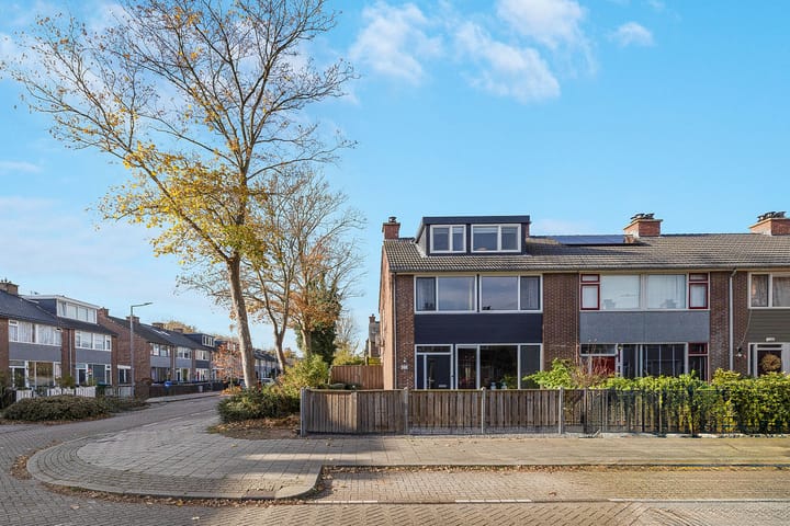 Trilgras 21 in Rotterdam foto