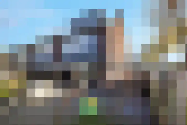 Trilgras 21 Rotterdam thumbnail 13