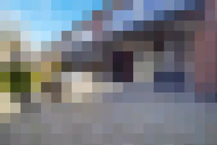 Trilgras 21 Rotterdam thumbnail 14
