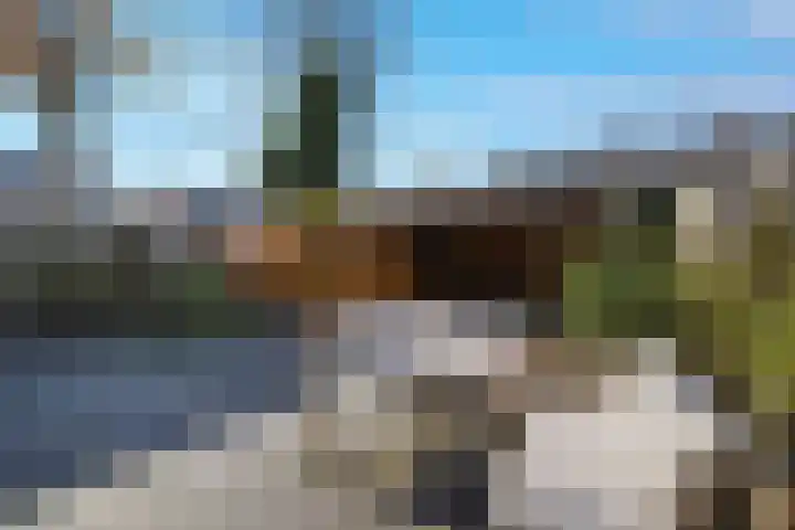 Trilgras 21 Rotterdam thumbnail 16