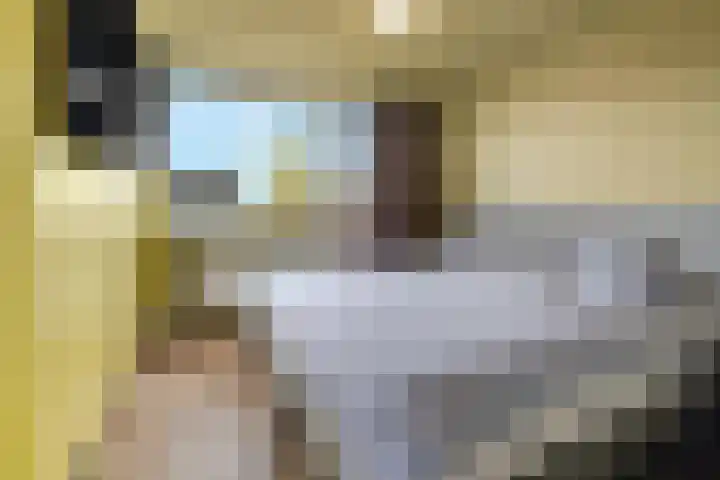 Trilgras 21 Rotterdam thumbnail 20