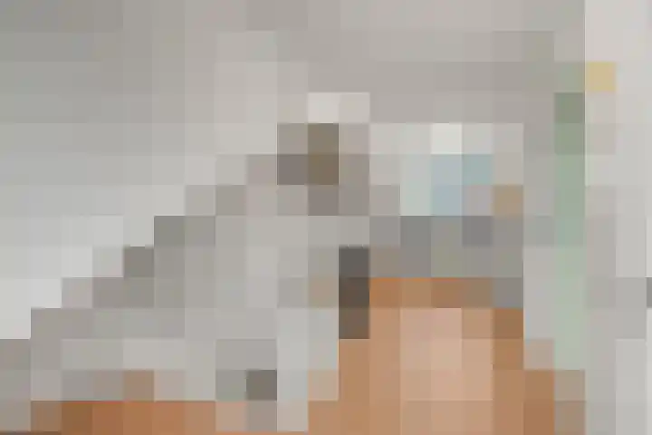 Trilgras 21 Rotterdam thumbnail 31
