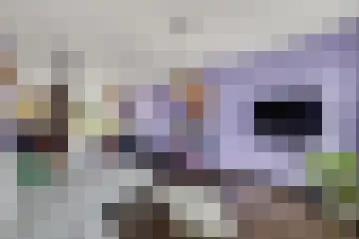 Trilgras 21 Rotterdam thumbnail 4