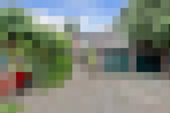 Trilgras 32 in Gouda