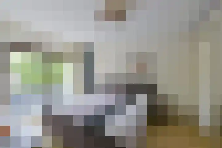 Trilgras 6 Wilnis thumbnail 20