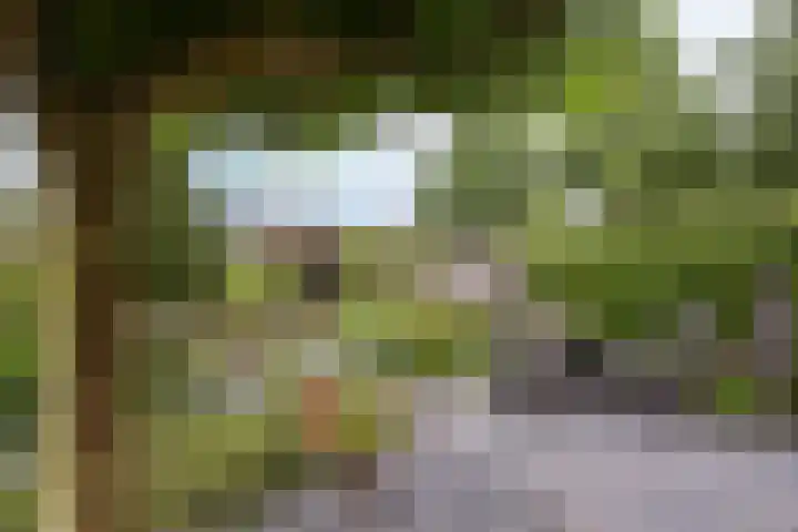 Trilgras 6 Wilnis thumbnail 33