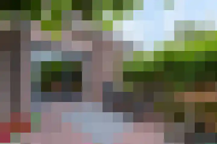Trilgras 6 Wilnis thumbnail 34