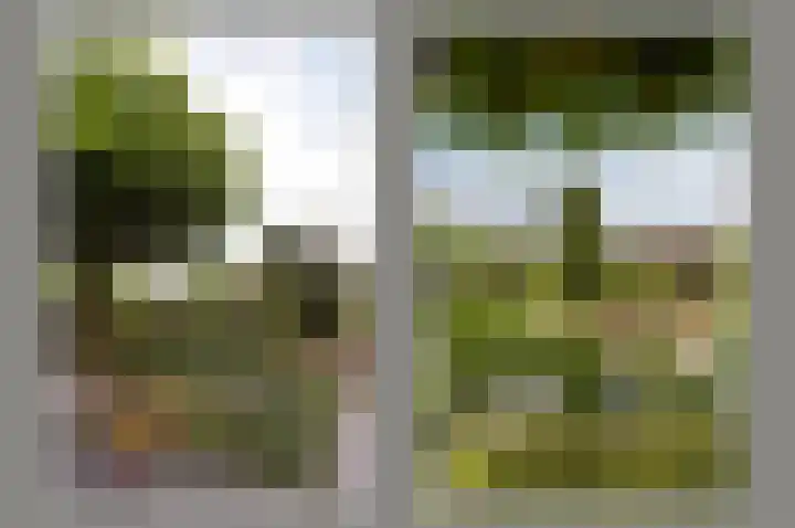 Trilgras 6 Wilnis thumbnail 36
