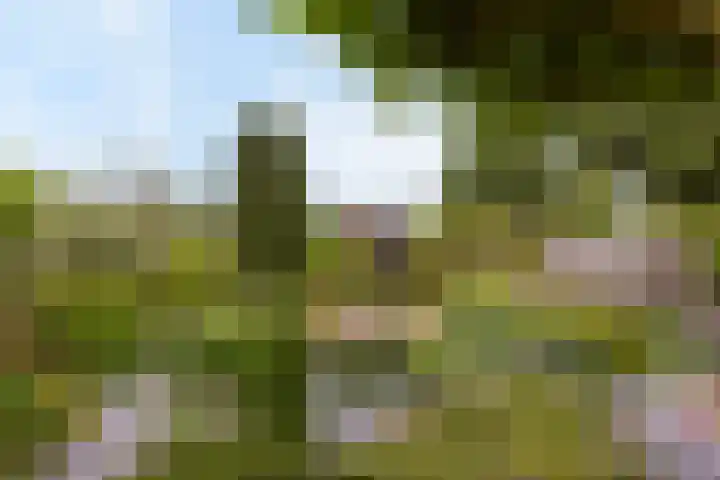 Trilgras 6 Wilnis thumbnail 37
