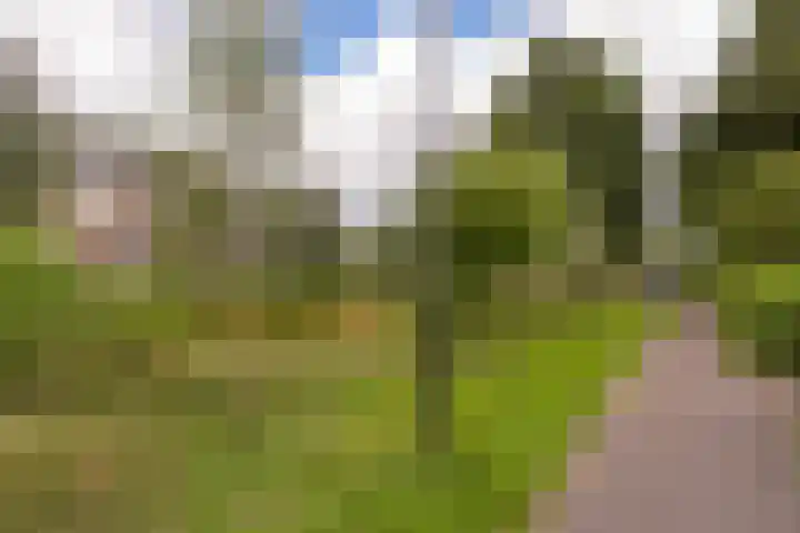 Trilgras 6 Wilnis thumbnail 42
