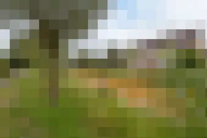 Trilgras 6 Wilnis thumbnail 43